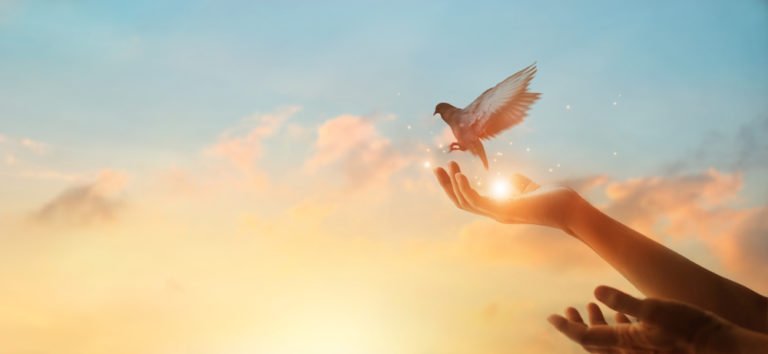 Cancer Care Trust – Looking to the Future